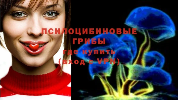 твердый Алзамай