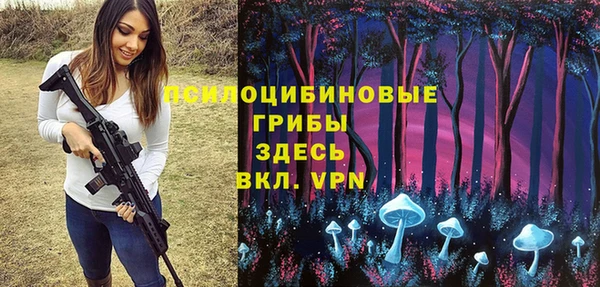 твердый Алзамай