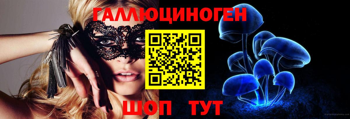 Псилоцибиновые грибы ЛСД  Вход с VPN  Новозыбков 