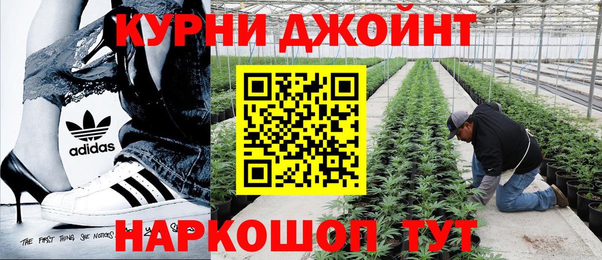Бошки марихуана Bruce Banner Новозыбков